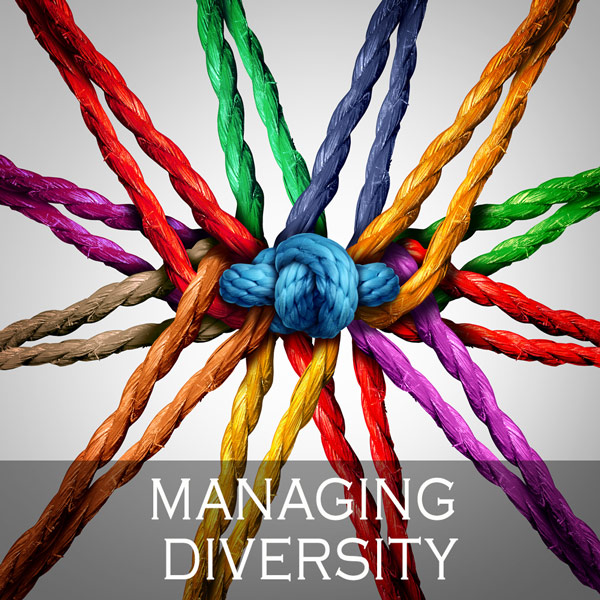 Managing Diversity - Aus Gegensätzlichem Synergien schaffen durch gelingende Kommunikation im Team